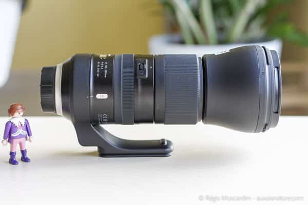 Test du Tamron SP 150-600mm f/5-6.3 Di VC USD G2