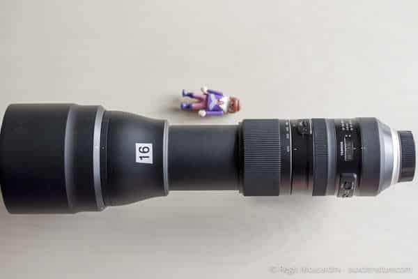 Test du Tamron SP 150-600mm f/5-6.3 Di VC USD G2