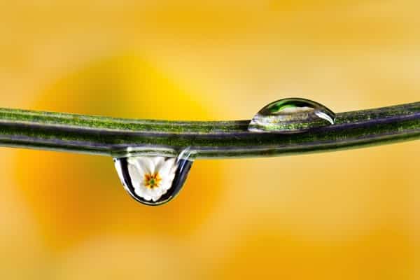 Comment photographier les reflets dans une goutte d'eau