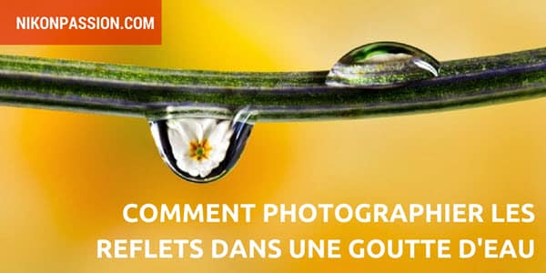 Comment photographier les reflets dans une goutte d'eau