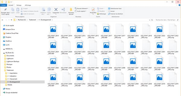 Mise à jour du Codec NEF Nikon : comment voir les fichiers NEF dans Windows