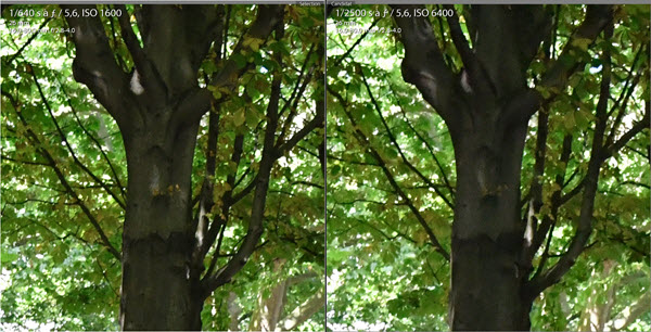 Test Nikon D7500 comparaison 1600 - 6400 ISO