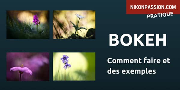 Comment faire un bokeh : principe et exemples