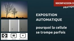 Exposition automatique : pourquoi la cellule de votre appareil photo se trompe parfois ?