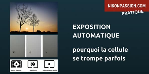 Exposition automatique : pourquoi la cellule de votre appareil photo se trompe parfois ?