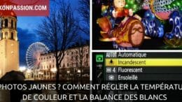 Photos jaunes ? Comment régler la température de couleur et la balance des blancs