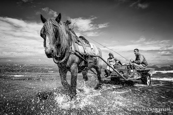 Exposition Nikon Passion Salon de la Photo 2017