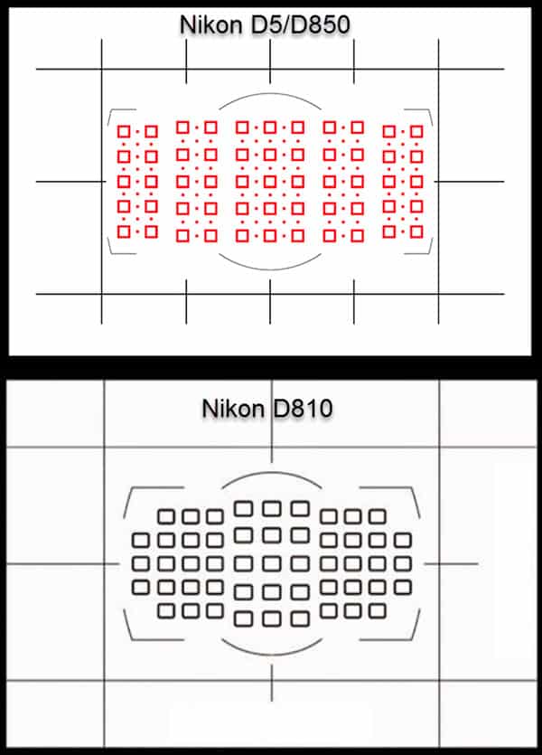 Comparatif Nikon D810 - D850 : les viseurs et l'autofocus