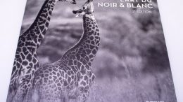 L'art du noir et blanc, un guide et des tutoriels par Michael Freeman