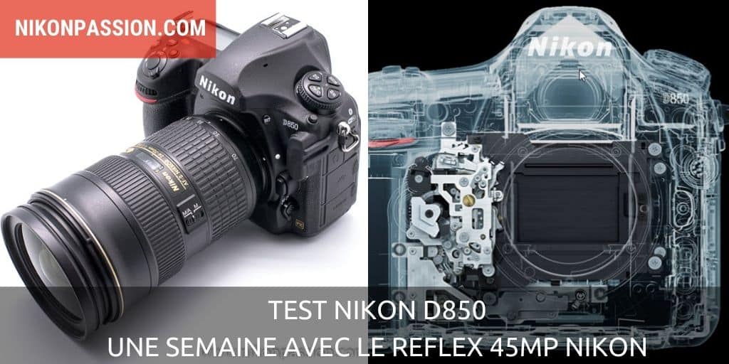 Test Nikon D850 : une semaine sur le terrain avec le reflex 45Mp Nikon