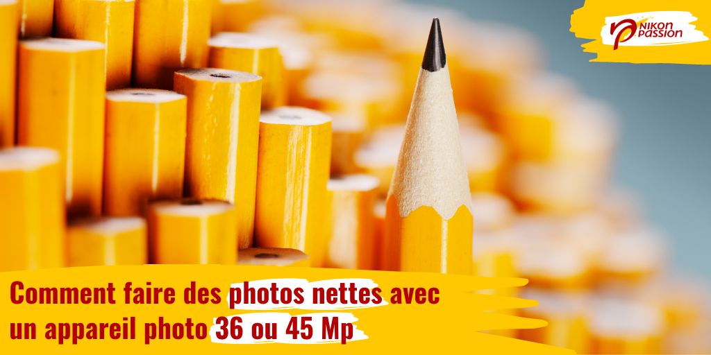 5 conseils pour faire des photos nettes avec un reflex 36 ou 45Mp