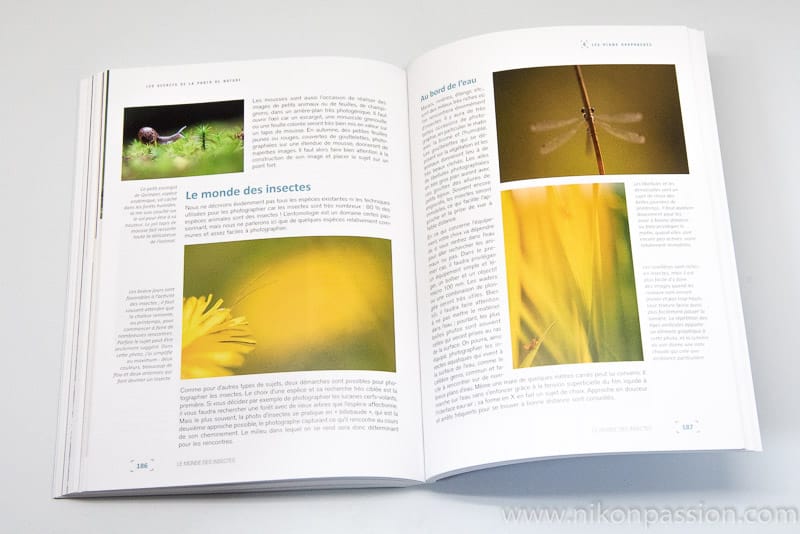 Les secrets de la photo de nature : technique, pratique, matériel par Erwan Balança
