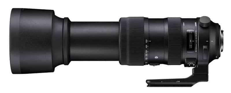 Sigma 60-600mm f/4.5-6.3 DG OS HSM : l'hyper télézoom pour Nikon F
