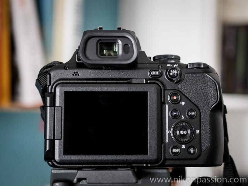 Test Nikon Coolpix P1000 : une semaine avec le bridge au zoom 125 x qui grimpe jusqu'à 3000 mm !