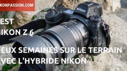 Test Nikon Z6 : deux semaines sur le terrain avec l'hybride plein format Nikon