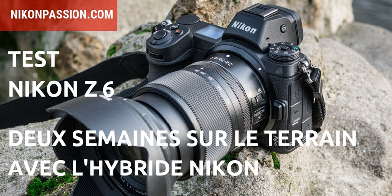 Test Nikon Z6 : deux semaines sur le terrain avec l'hybride plein format Nikon