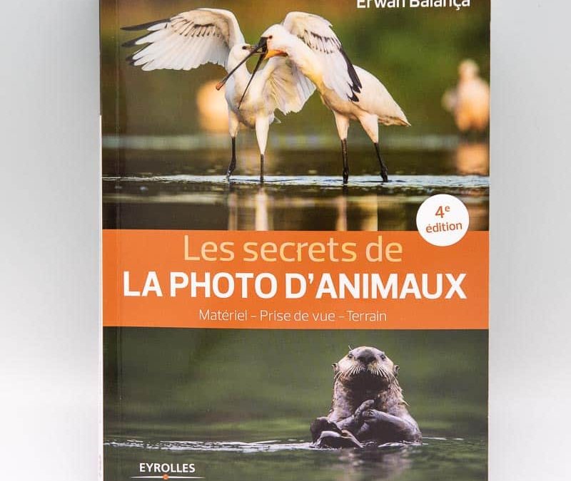 Les secrets de la photo d’animaux : matériel, prise de vue, approche terrain par Erwin Balança