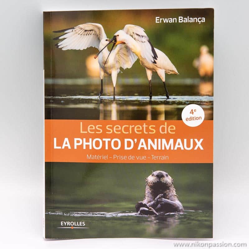 Les secrets de la photo d’animaux : matériel, prise de vue, approche terrain par Erwan Balança