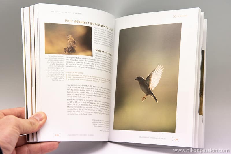 Les secrets de la photo d’animaux : matériel, prise de vue, approche terrain par Erwan Balança