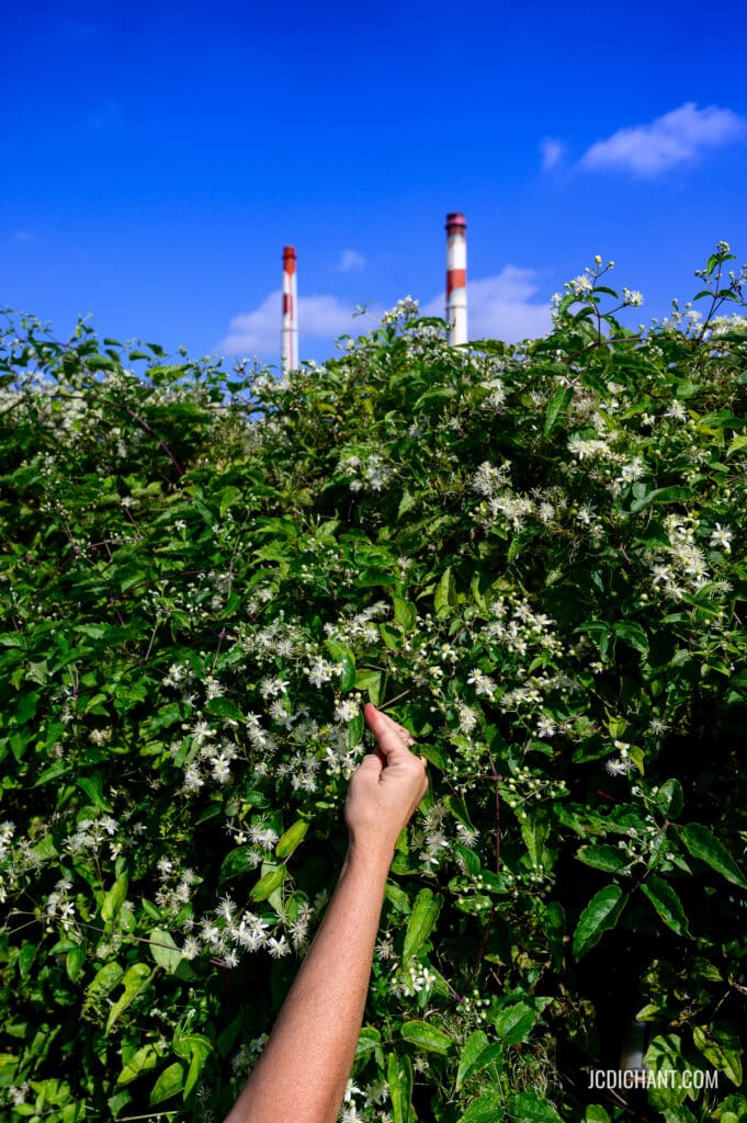 Les cheminées de la centrale EDF de Vitry-sur-Seine - photo © JC Dichant - illustration d'un article sur devenir photographe créatif