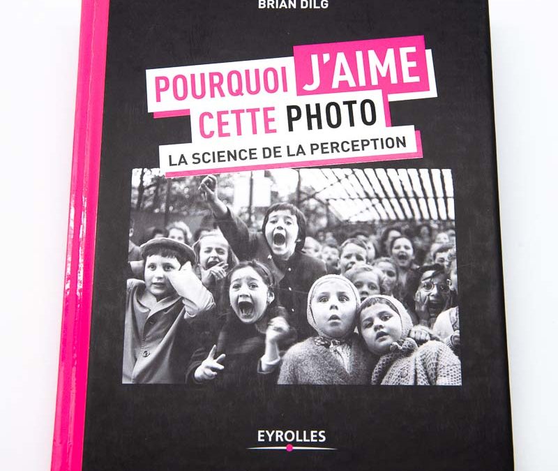 Pourquoi j'aime cette photo, la science de la perception