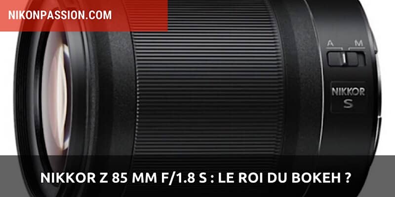 Nikkor Z 85 mm f/1.8 S : le roi du bokeh ?