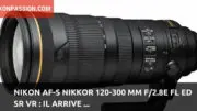 Nikon AF-S NIKKOR 120-300 mm f/2.8E FL ED SR VR