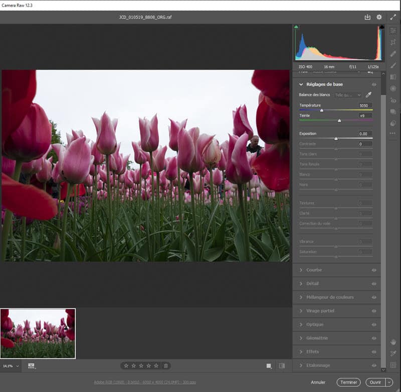 Ouvrir un fichier RAW dans Photoshop avec Camera Raw