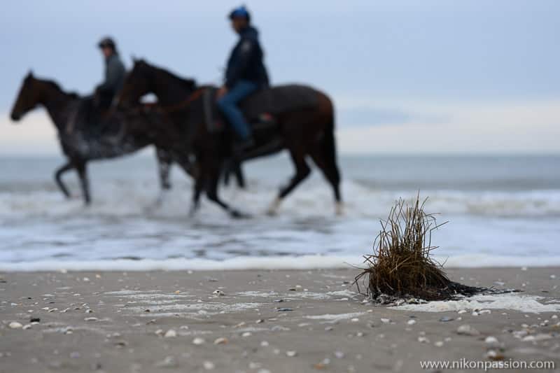 test Nikkor Z 85 mm f/1.8 S : 