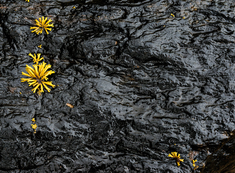 La nature des choses, Arnaud Vareille