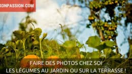 Comment faire des photos de légumes en restant chez soi