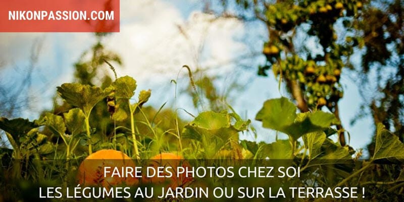 Comment faire des photos de légumes en restant chez soi