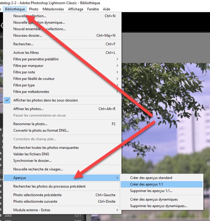 Comment recréer les aperçus Lightroom après l'importation