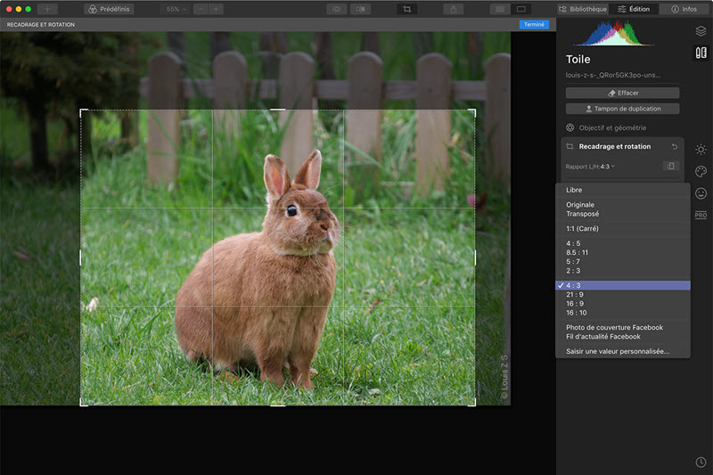 Recadrage dans Luminar 4
