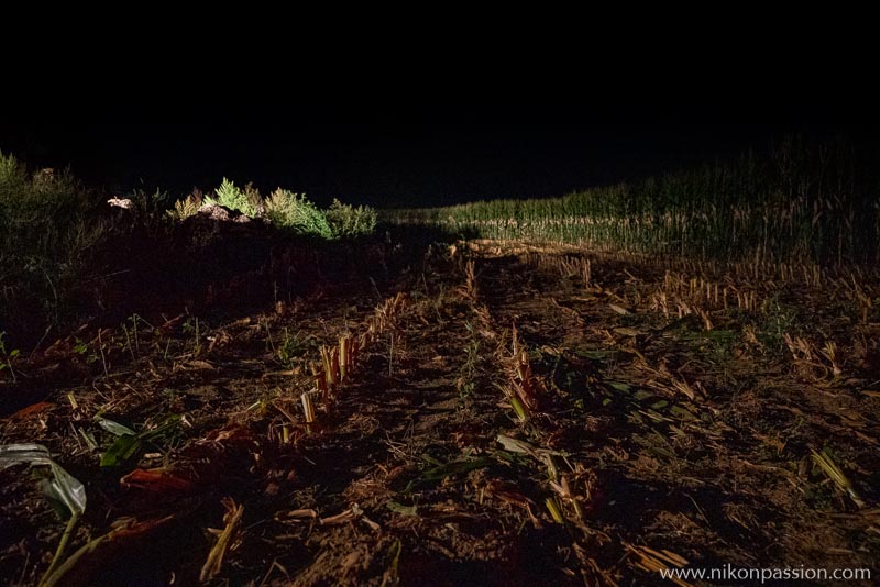 Ensilage du maïs la nuit en Meuse