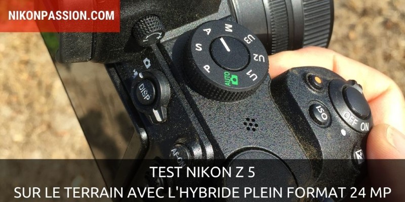 Test Nikon Z 5 : sur le terrain avec l'hybride plein format 24 Mp