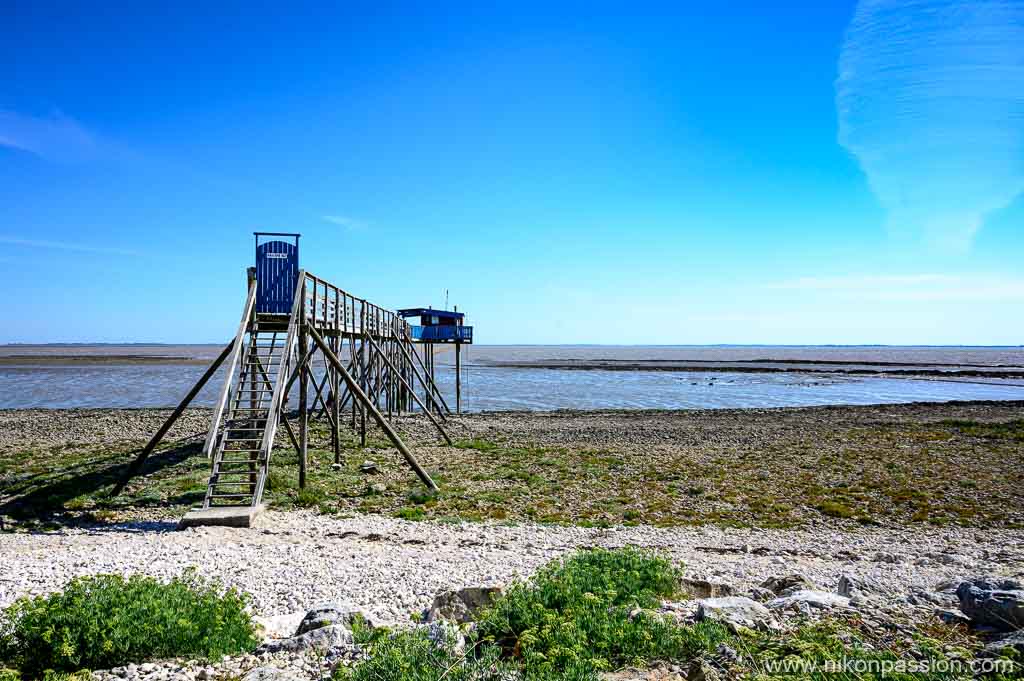 Carrelet sur l'île Madame