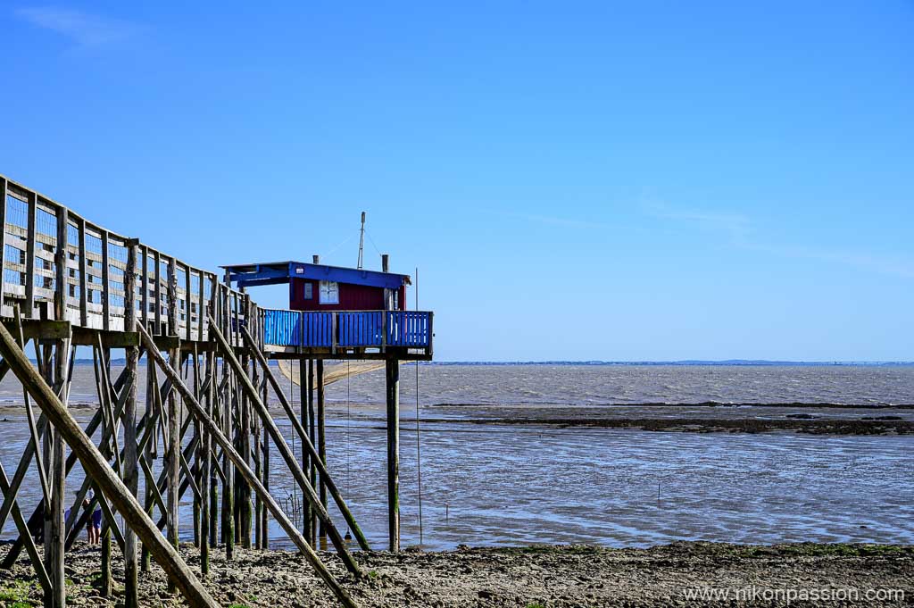 Carrelet sur l'île Madame