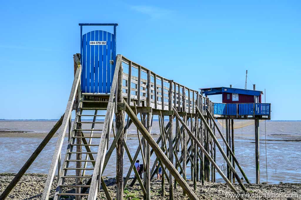 Carrelet sur l'île Madame