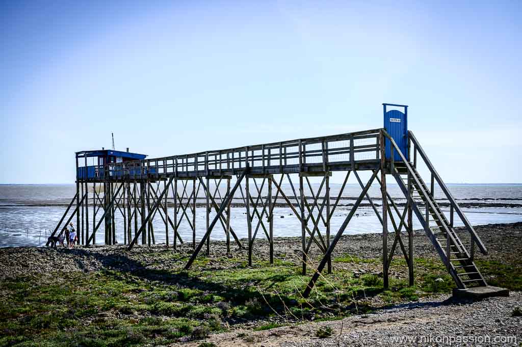 Carrelet sur l'île Madame