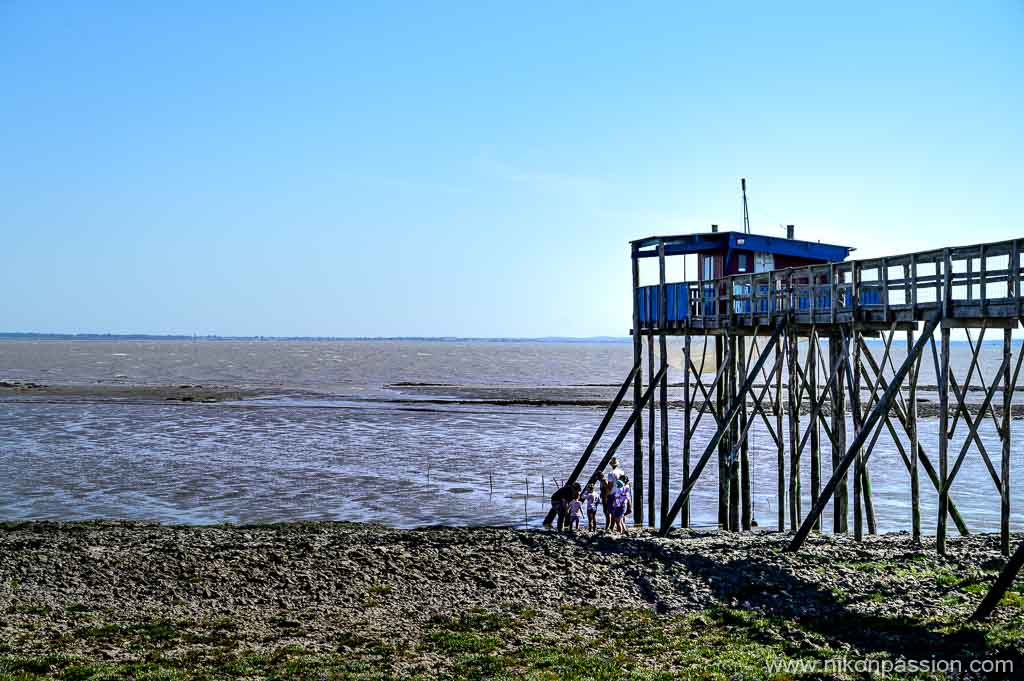 Carrelet sur l'île Madame