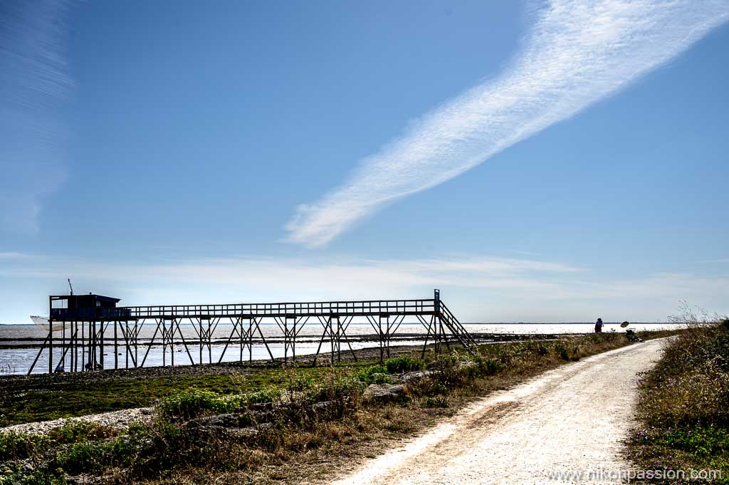 Carrelet sur l'île Madame