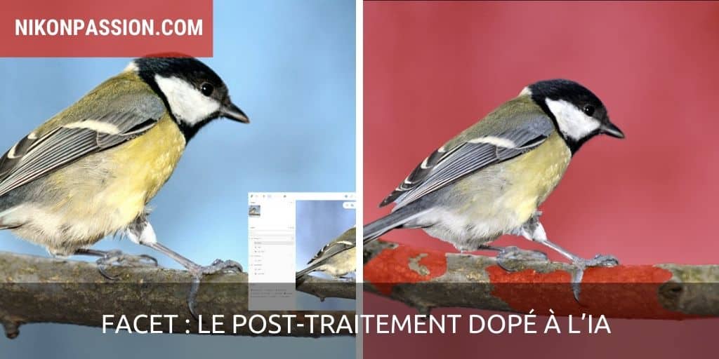 Facet : le post-traitement dopé à l’IA