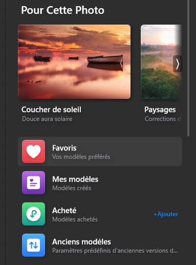 Gestion des modèles dans Luminar AI Update 2