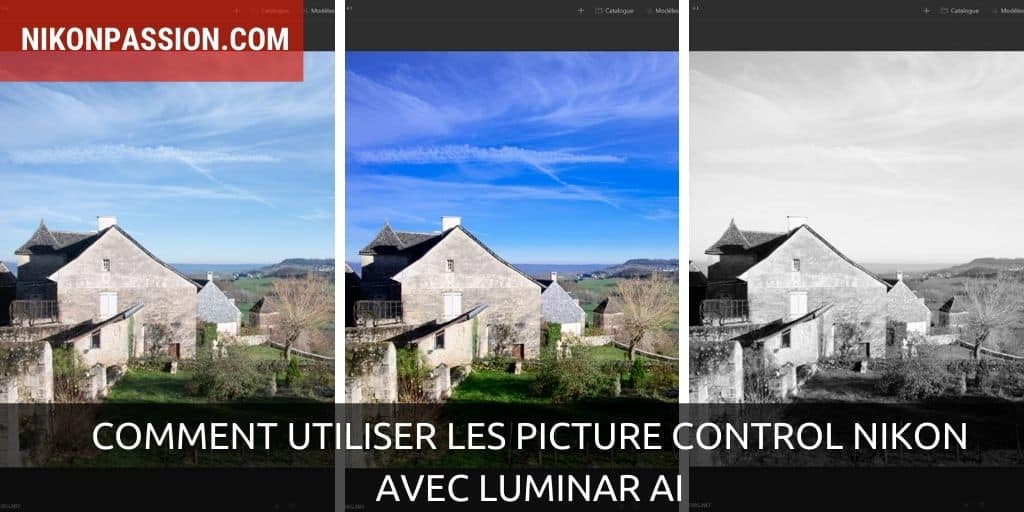 Comment utiliser les Picture Control Nikon avec Luminar AI