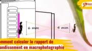 Guide complet de la macrophotographie, comment faire, matériel, calculs