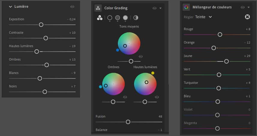 A quoi sert le Color Grading dans Lightroom