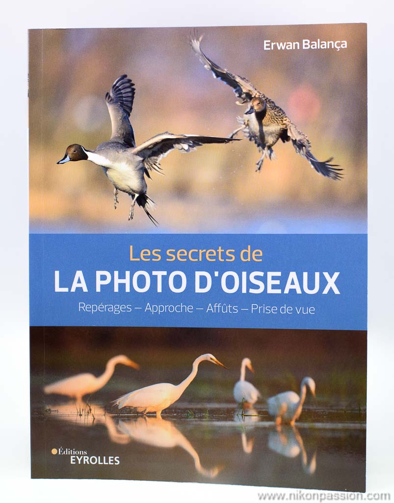 réussir vos photos d'oiseaux : matériel, réglages, approche, les secrets d’Erwan Balança