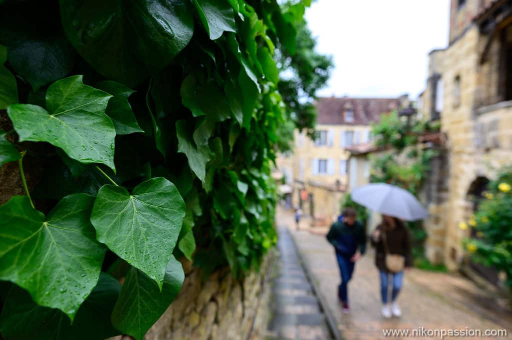 Exemple de photo avec le NIKKOR Z 20 mm f/1.8 S pour hybride Nikon