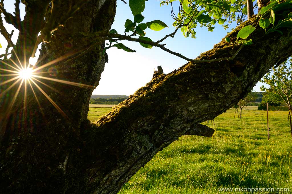 Exemple de photo avec le NIKKOR Z 20 mm f/1.8 S pour hybride Nikon